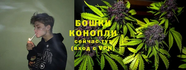 гидропоника Гусев