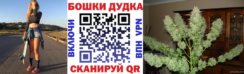 shop формула  Челябинск  МАРИХУАНА SATIVA & INDICA 